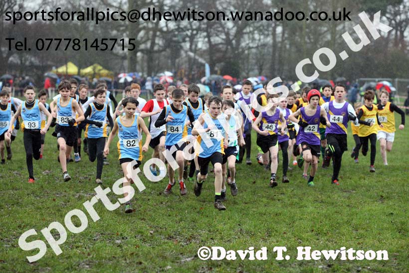 Minor boys Northern Inter Counties Schools Cross Country, Stockton. Photo: David T. Hewitson/Sports for All Pics